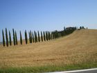 Terre senesi