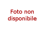 MOLLA FORCELLA